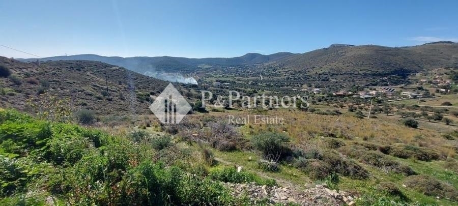 (For Sale) Land Agricultural Land  || East Attica/Keratea - 12.500 Sq.m, 180.000€ 