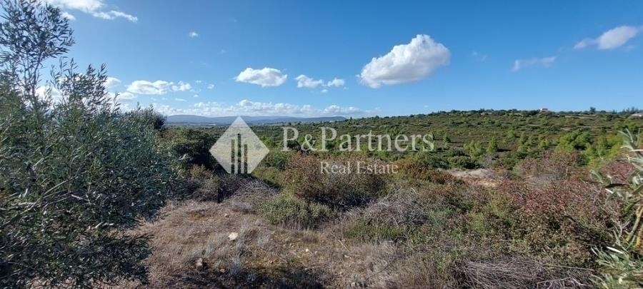 (For Sale) Land Plot || Voiotia/Tanagra - 990 Sq.m, 24.000€ 