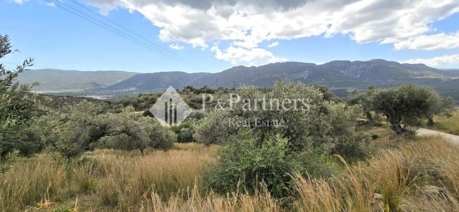 (For Sale) Land Plot || Piraias/Troizinia - 2.986 Sq.m, 45.000€ 
