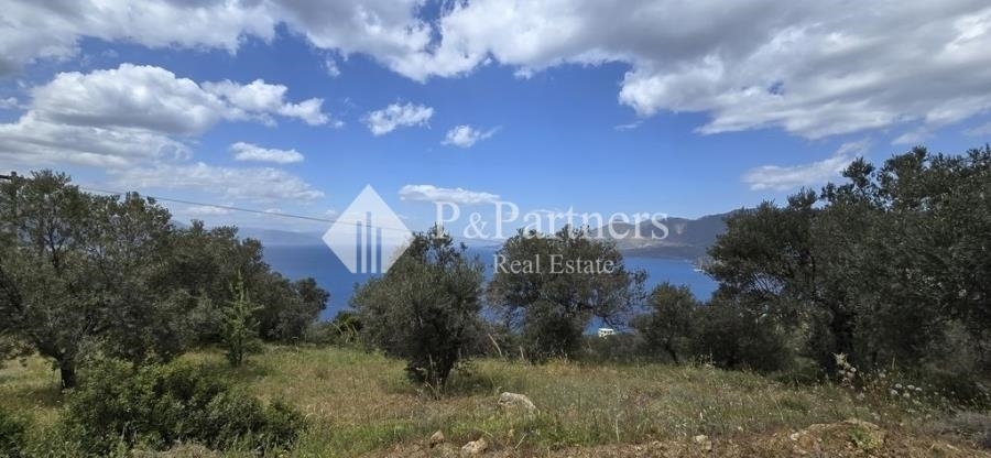 (For Sale) Land Plot || Piraias/Troizinia - 5.848 Sq.m, 145.000€ 