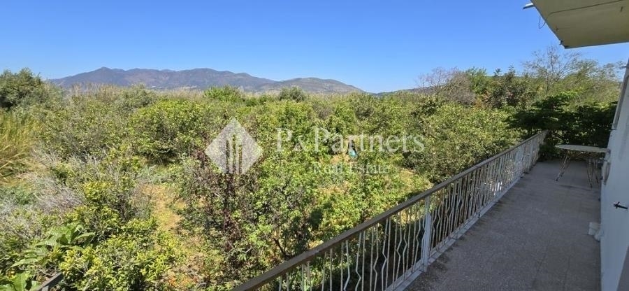 (For Sale) Land Plot || Piraias/Troizinia - 5.594 Sq.m, 1.000.000€ 