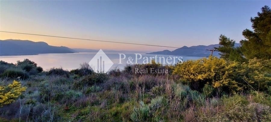 (For Sale) Land Plot || Piraias/Troizinia - 7.180 Sq.m, 135.000€ 