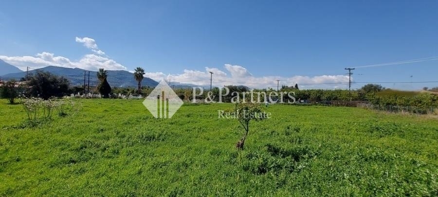 (For Sale) Land Plot || Achaia/Aigio - 4.103 Sq.m, 110.000€ 
