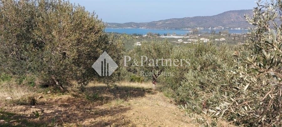 (Προς Πώληση) Αξιοποιήσιμη Γη Αγροτεμάχιο || Πειραιάς/Τροιζηνία - 3.310 τ.μ, 33.000€ 