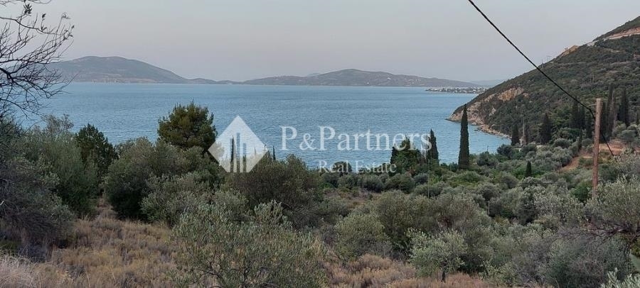 (For Sale) Land Plot || Piraias/Troizinia - 4.088 Sq.m, 145.000€ 